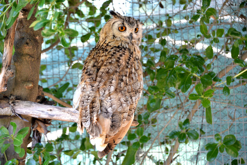 World of Birds Wildlife Sanctuary.